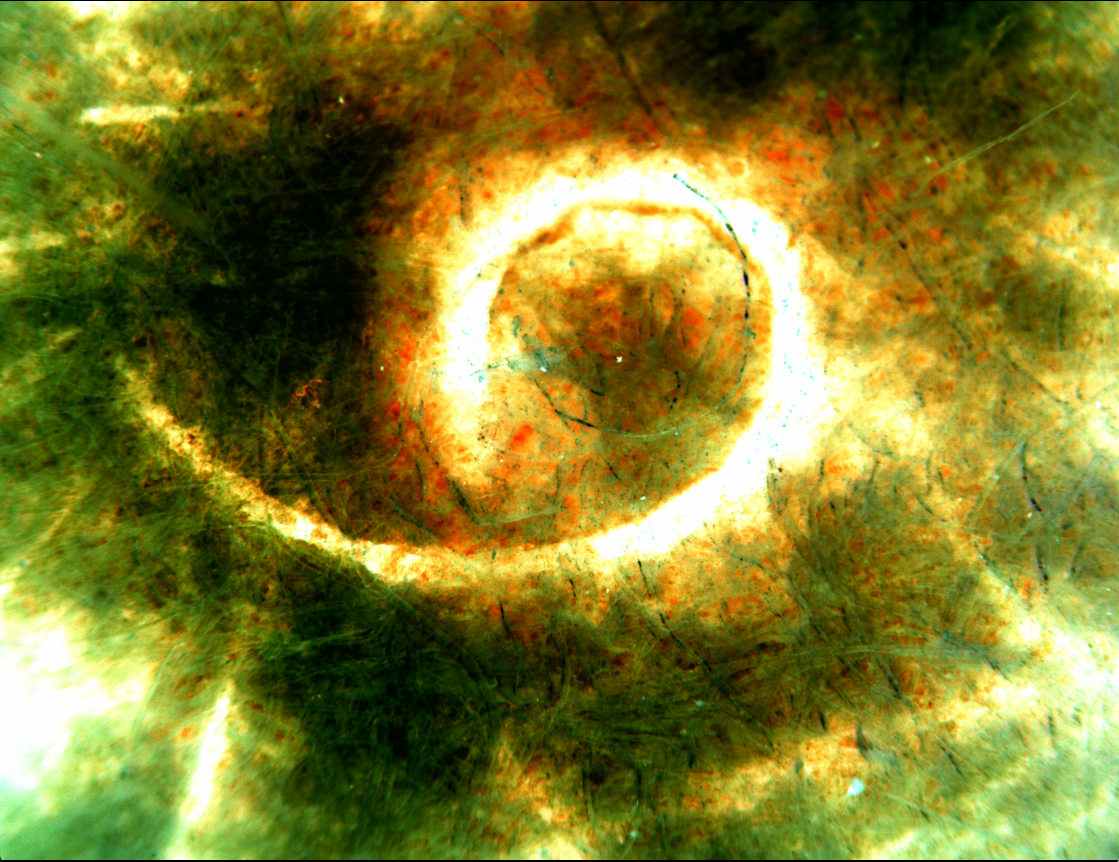 Engrave, Print and Microscope